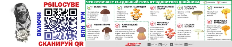 Псилоцибиновые грибы Cubensis  ссылка на мегу онион  Меленки 